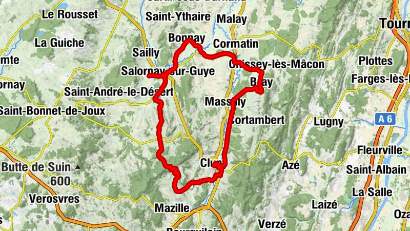 Carte