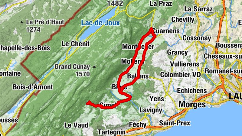 Carte