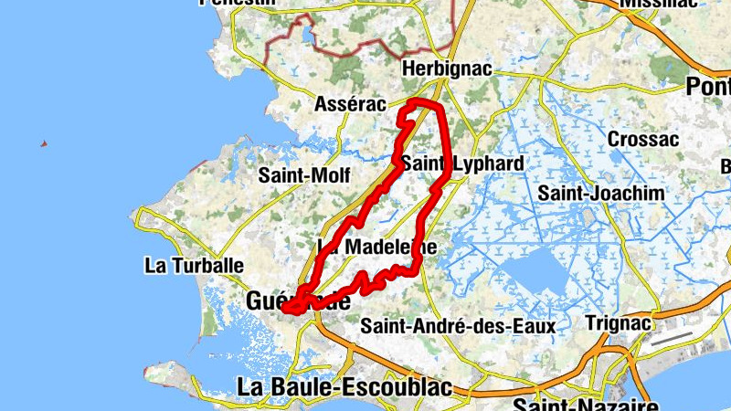 Carte