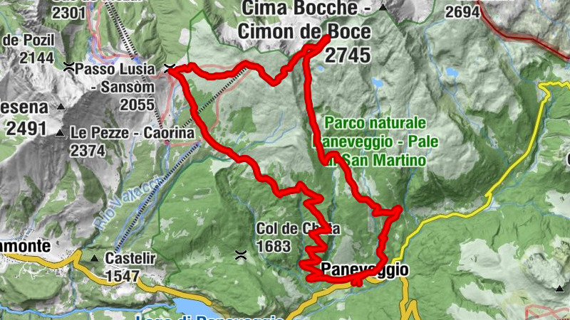 Carte