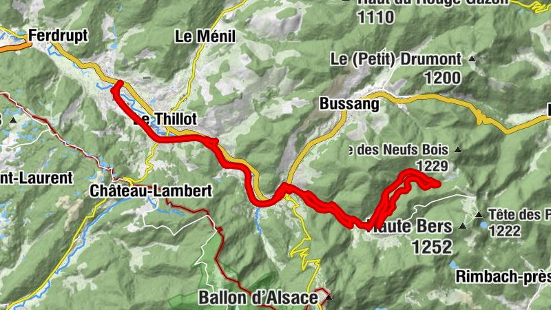Carte