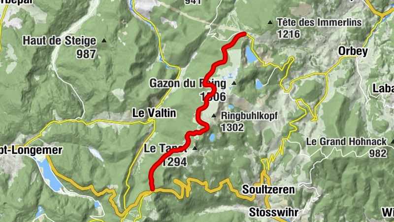 Carte