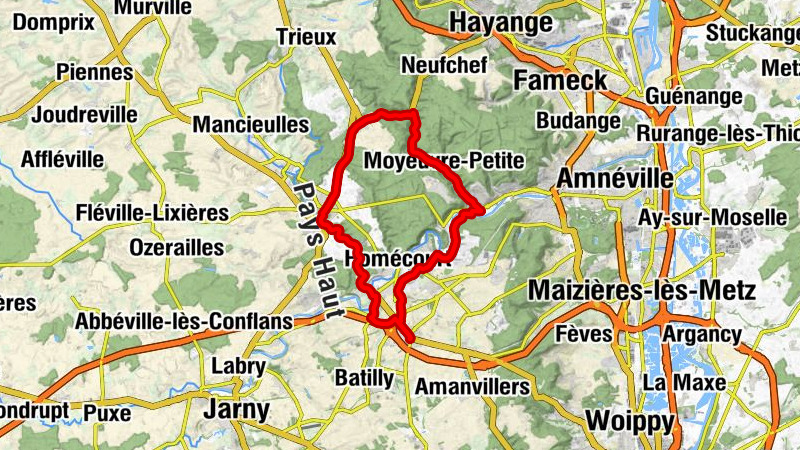 Carte