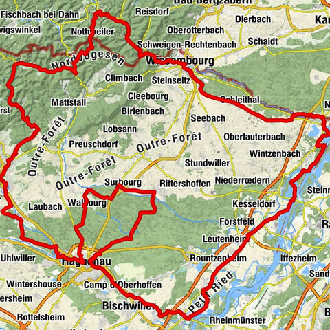 Étape 2 : Étape alsacienne « : Forêt d’exception de Haguenau, Parc Naturel des Vosges du Nord et milieux rhénans » (183 km)