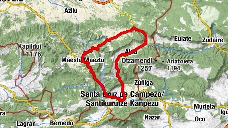 Carte