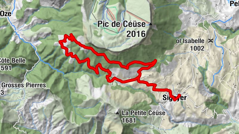 Carte