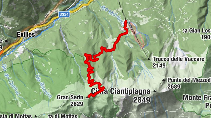 Carte