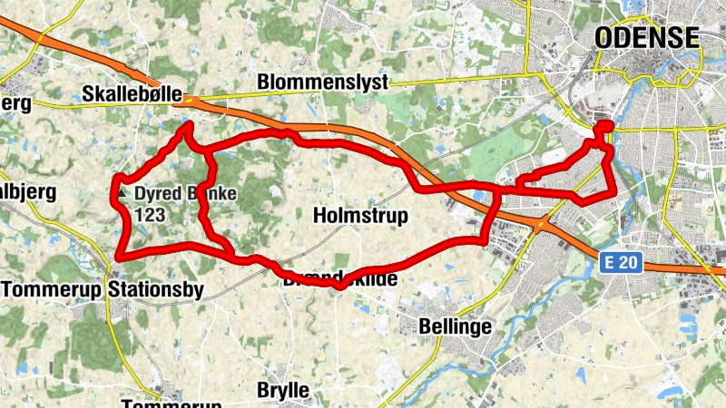 Carte