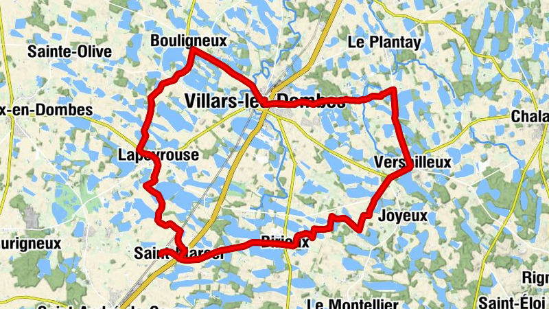 Carte