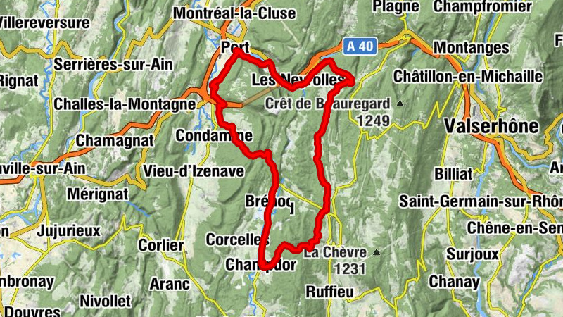 Carte