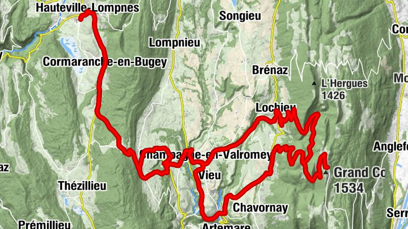 Carte