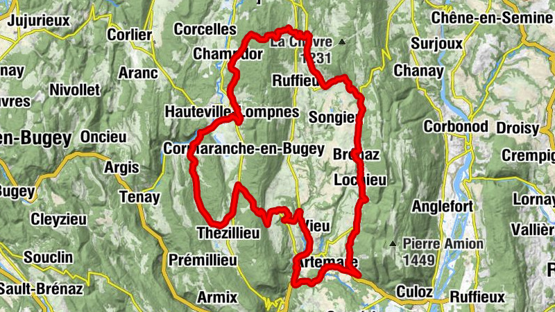 Carte
