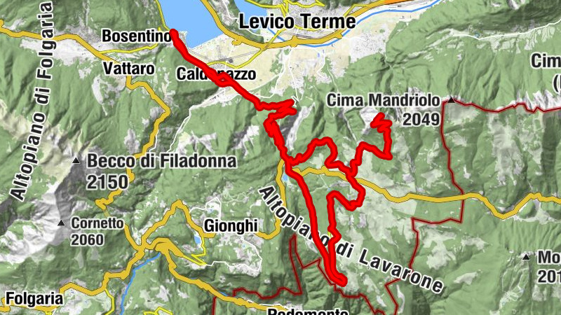 Carte