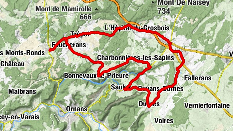Carte