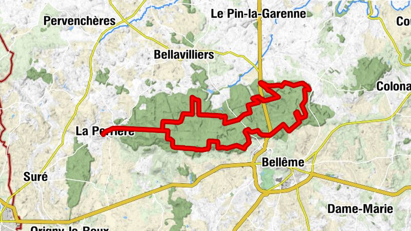 Carte