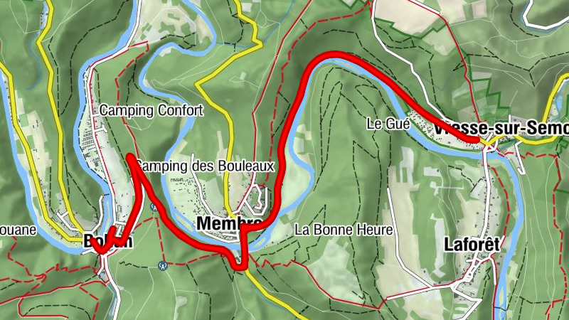 Carte