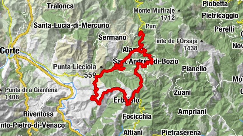 Carte