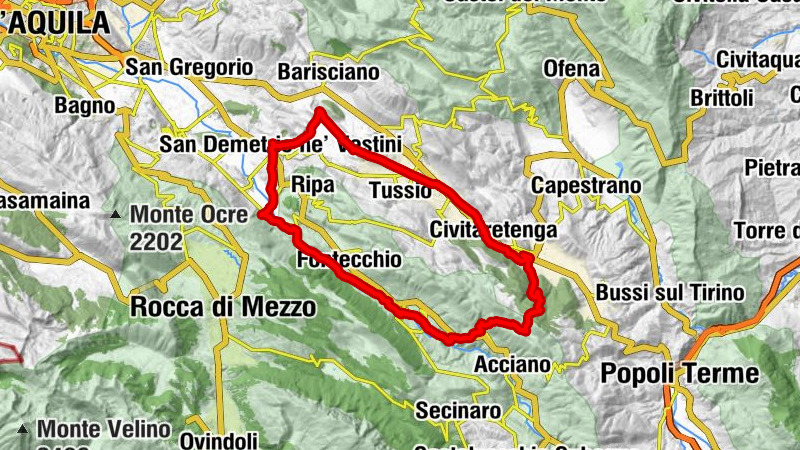 Carte