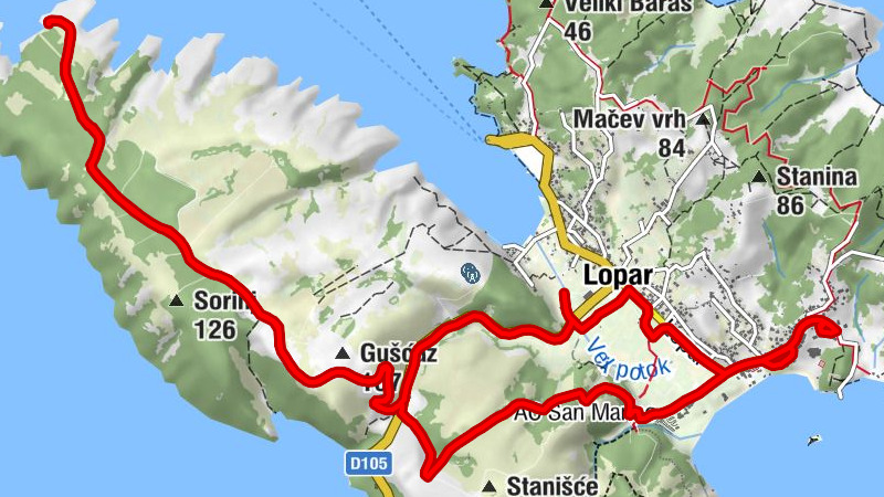 Carte
