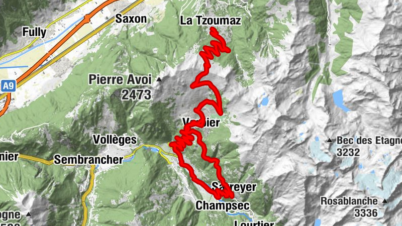 Carte