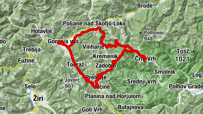 Carte