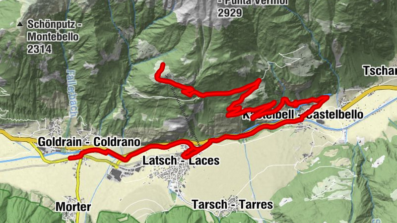Carte