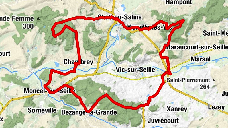 Carte