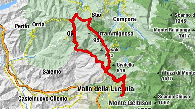 Carte