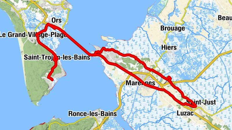 Carte