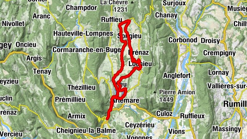 Carte