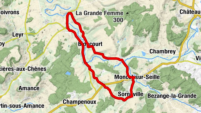 Carte