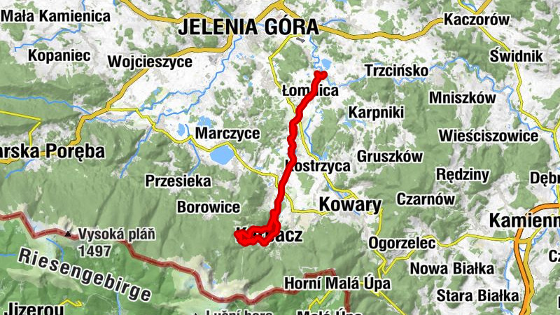 Carte