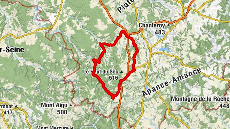 Carte
