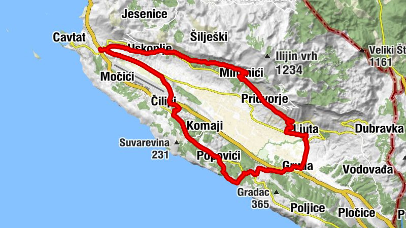 Carte