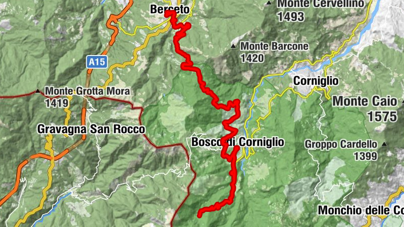 Carte