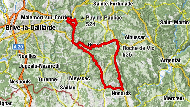 Carte