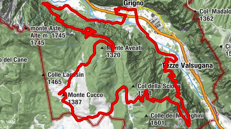 Carte