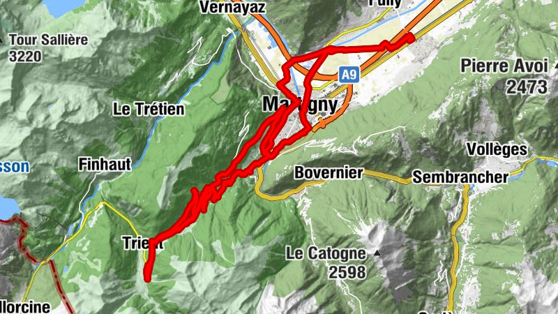 Carte