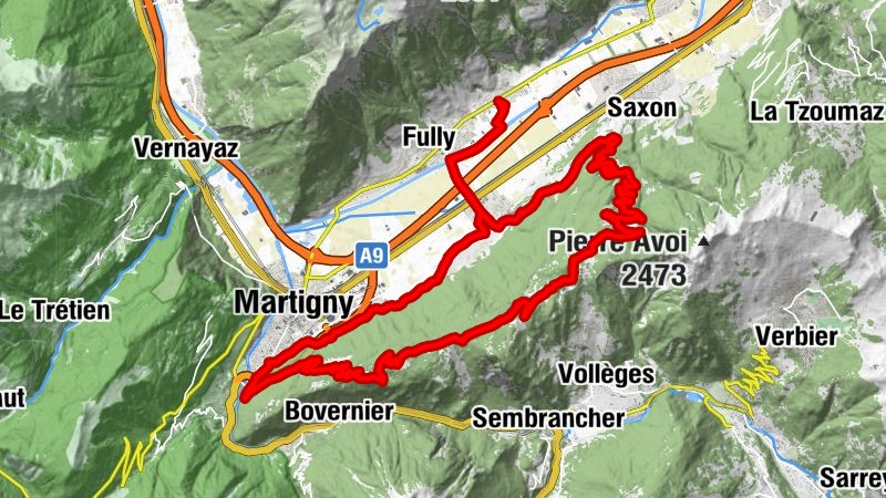 Carte