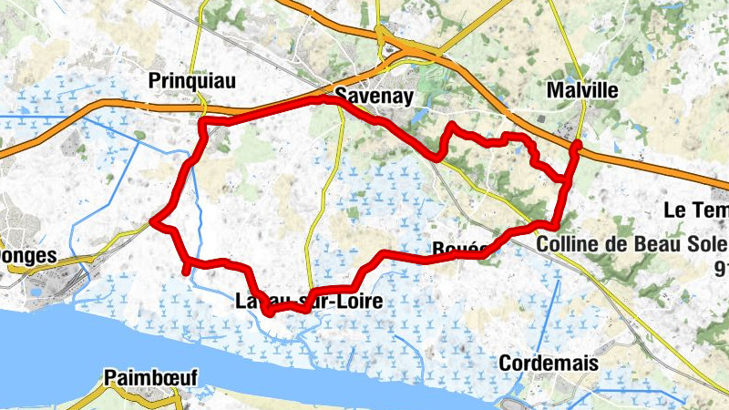 Carte
