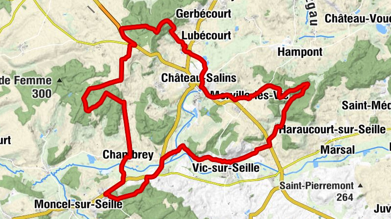 Carte