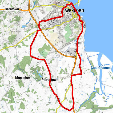 Wexford O'Hanrahan - Church of the Annunciation - Rathaspeck Church - St Martin's Church