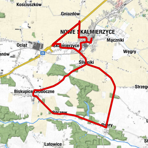 Nowe Skalmierzyce - Podkoce - Kościół pw. Świętego Bartłomieja