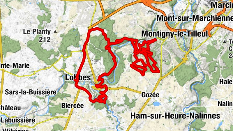 Carte
