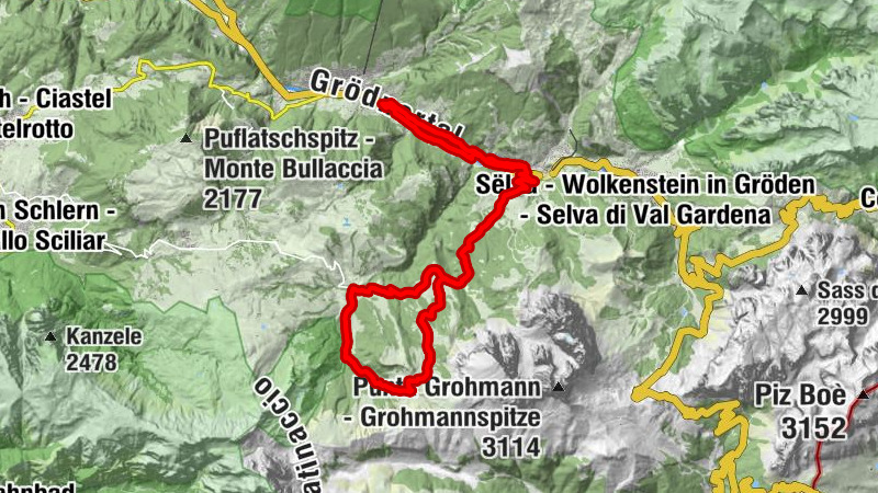 Carte