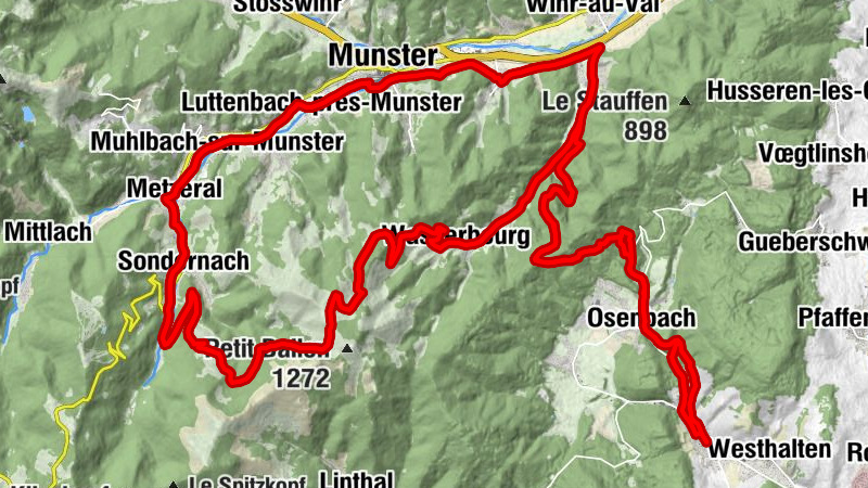 Carte