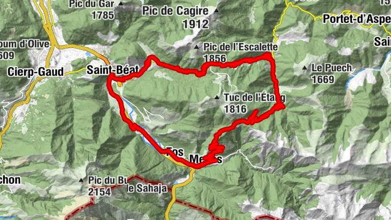 Carte