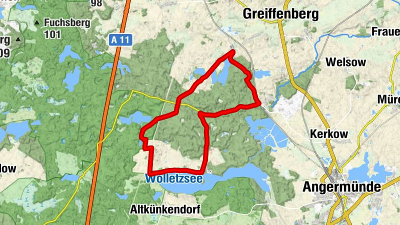 Wolletz - Peetzig