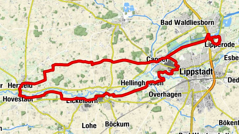 Carte