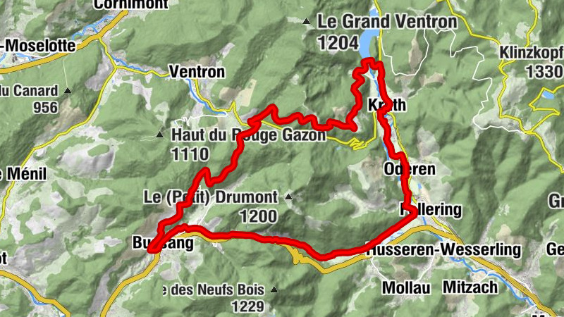 Carte